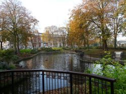 Tower Gardens Pond